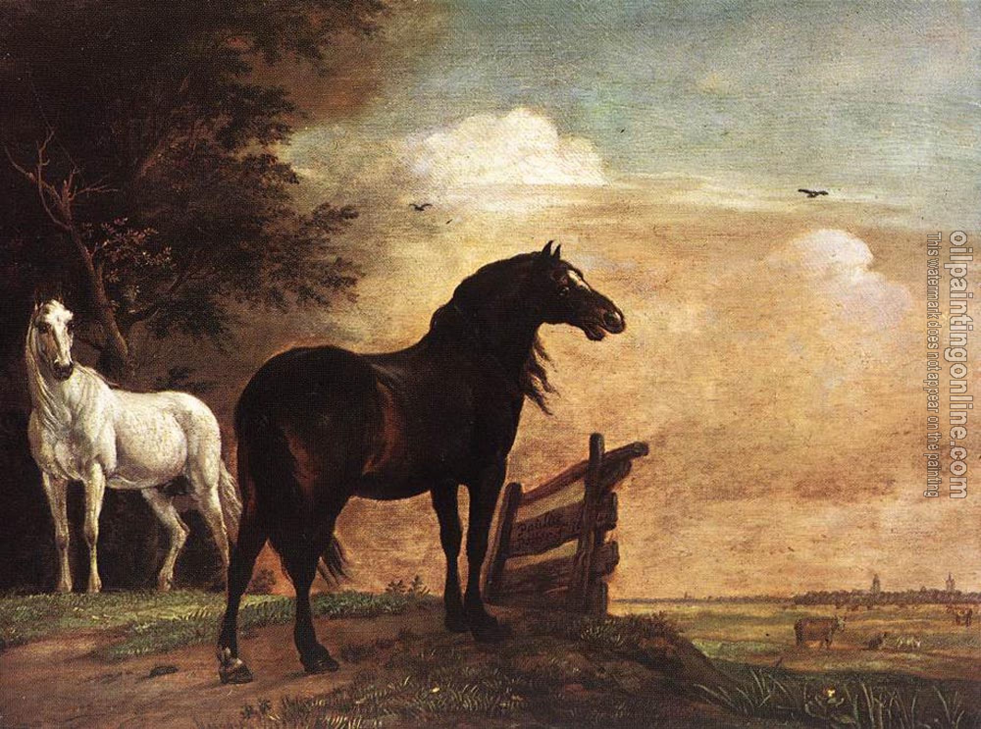 Paulus Potter - Horses In A Field